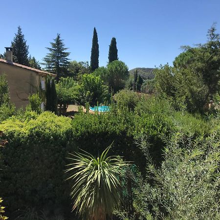 En Buena Hora Villa Saze  Luaran gambar